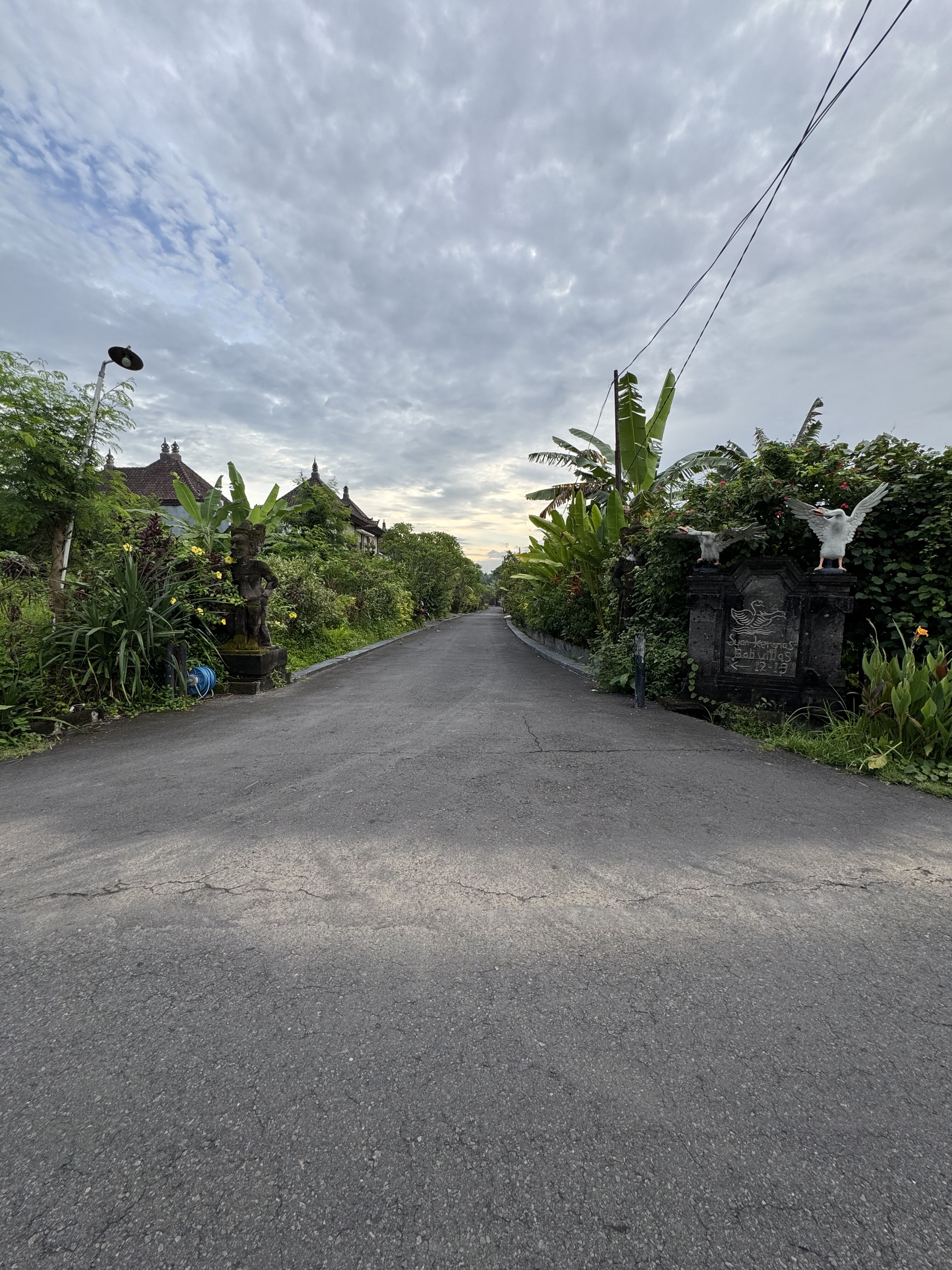 巴厘岛卡拉马斯天鹅别墅-官方