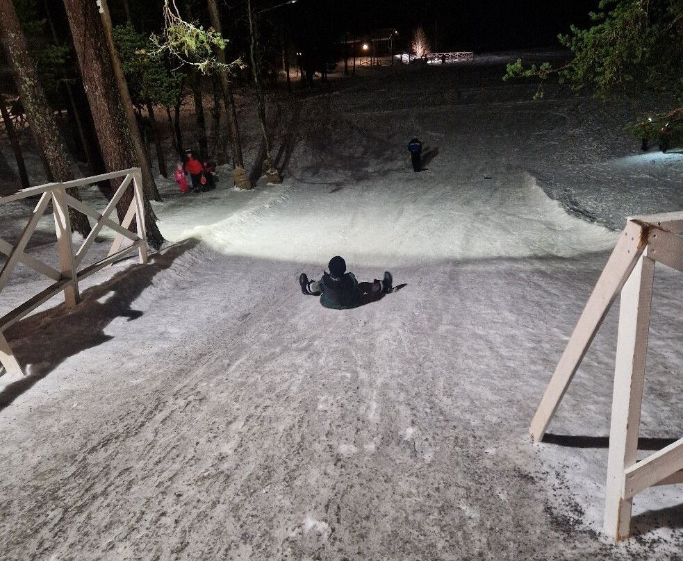 拉普兰熊之家酒店主图