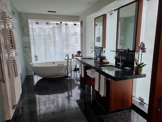 苏黎世柏悦酒店主图