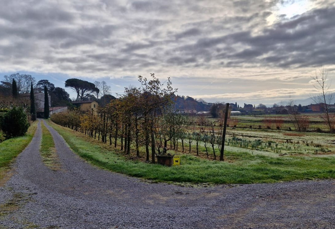 Al Podere di Rosa主图