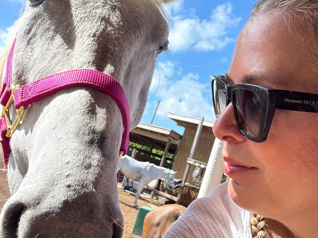 Provo Ponies-Long Bay Hills必去景点