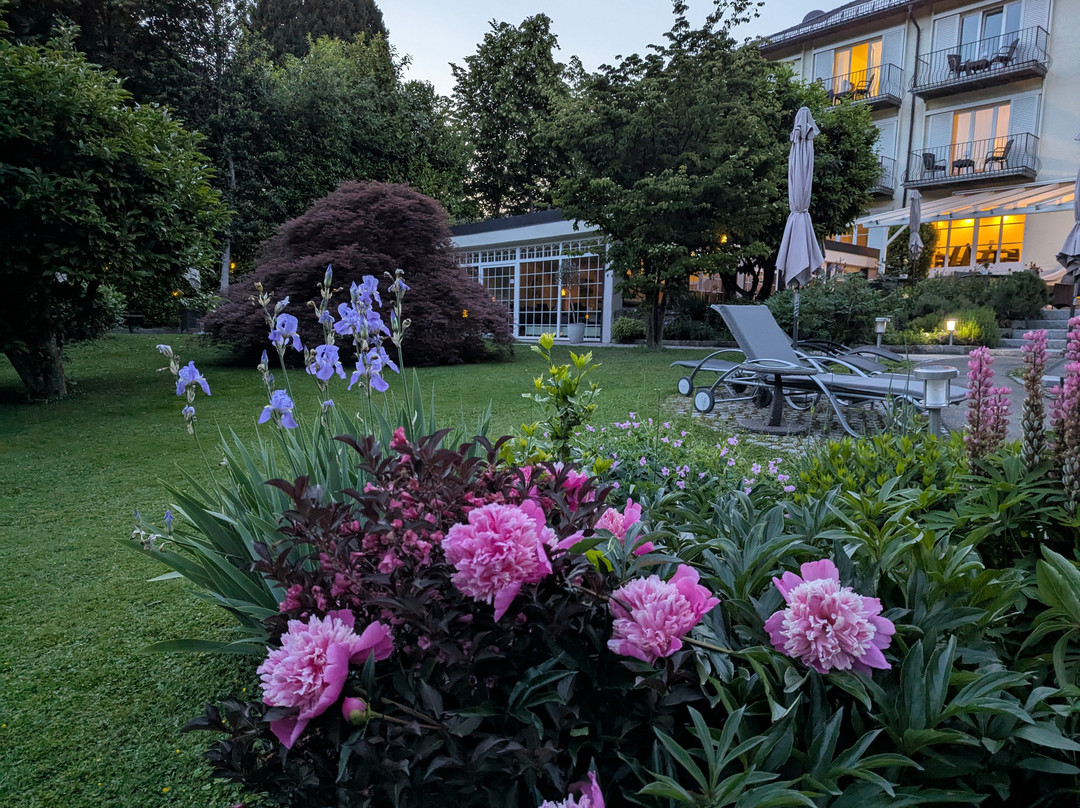 Hotel Lindenallee主图