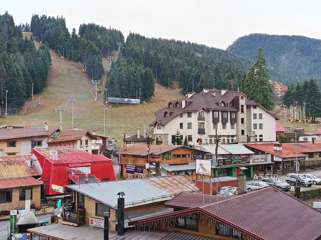 里拉博罗韦茨酒店主图