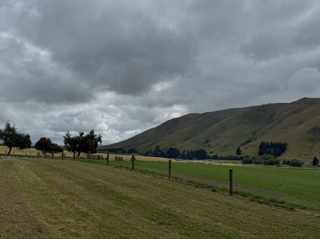 Bauchops Hill Station Farm Tour-菲尔利必去景点