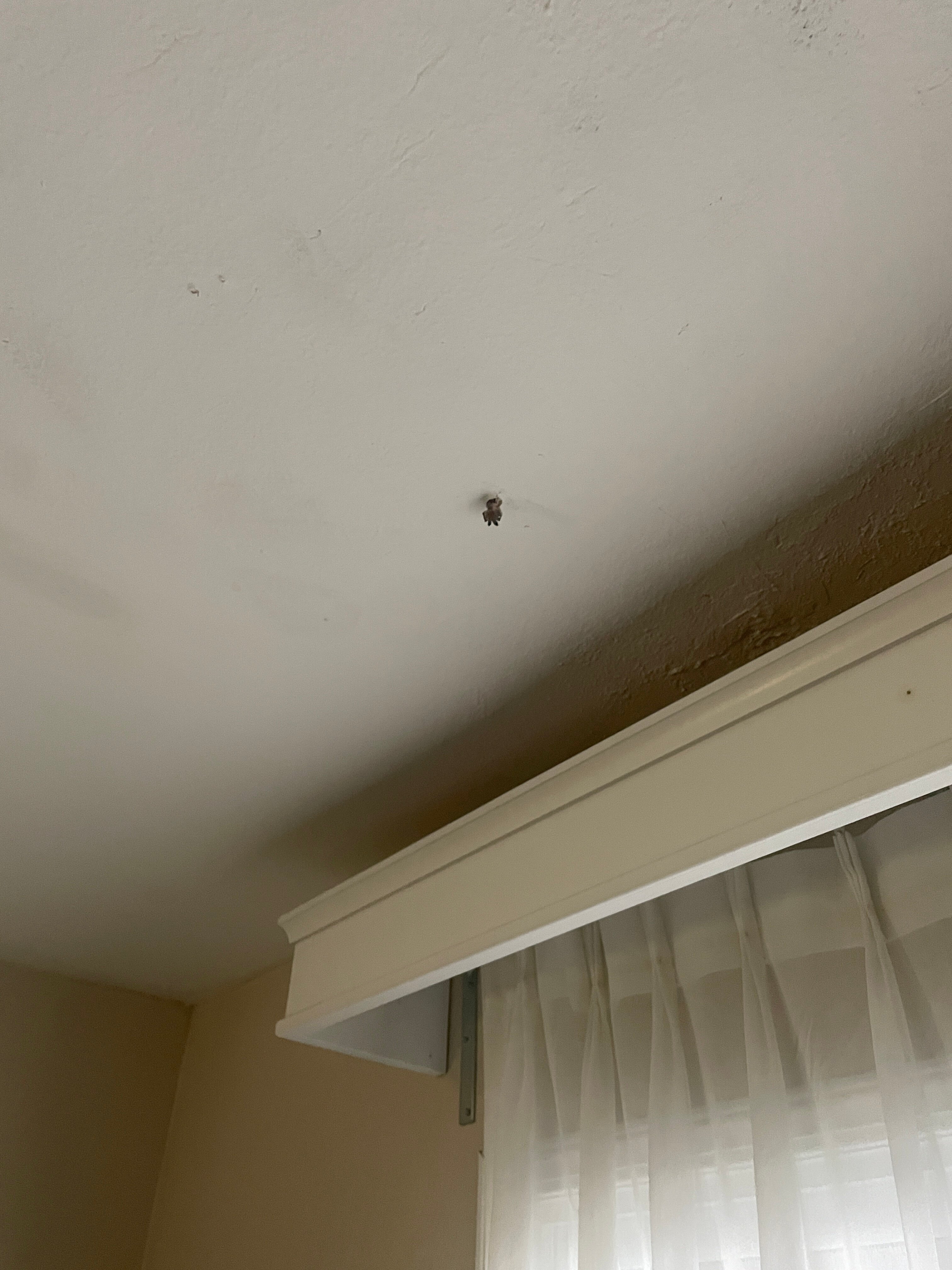 Comfort Inn Escondido San Diego North County-客卧