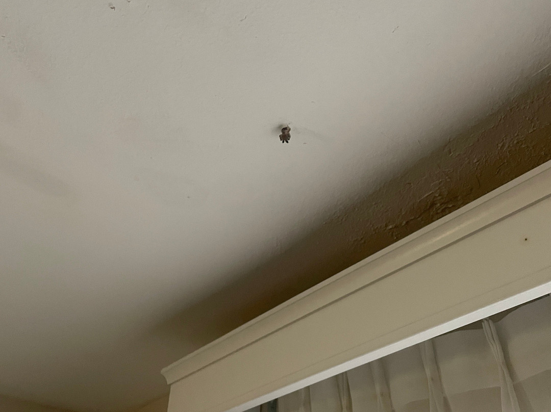 Comfort Inn Escondido San Diego North County主图