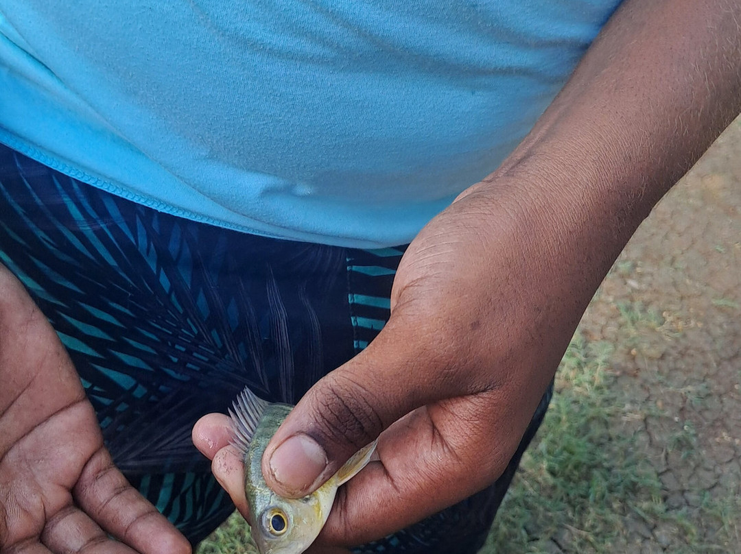 Laguna Big Pond-圣安德烈斯必去景点