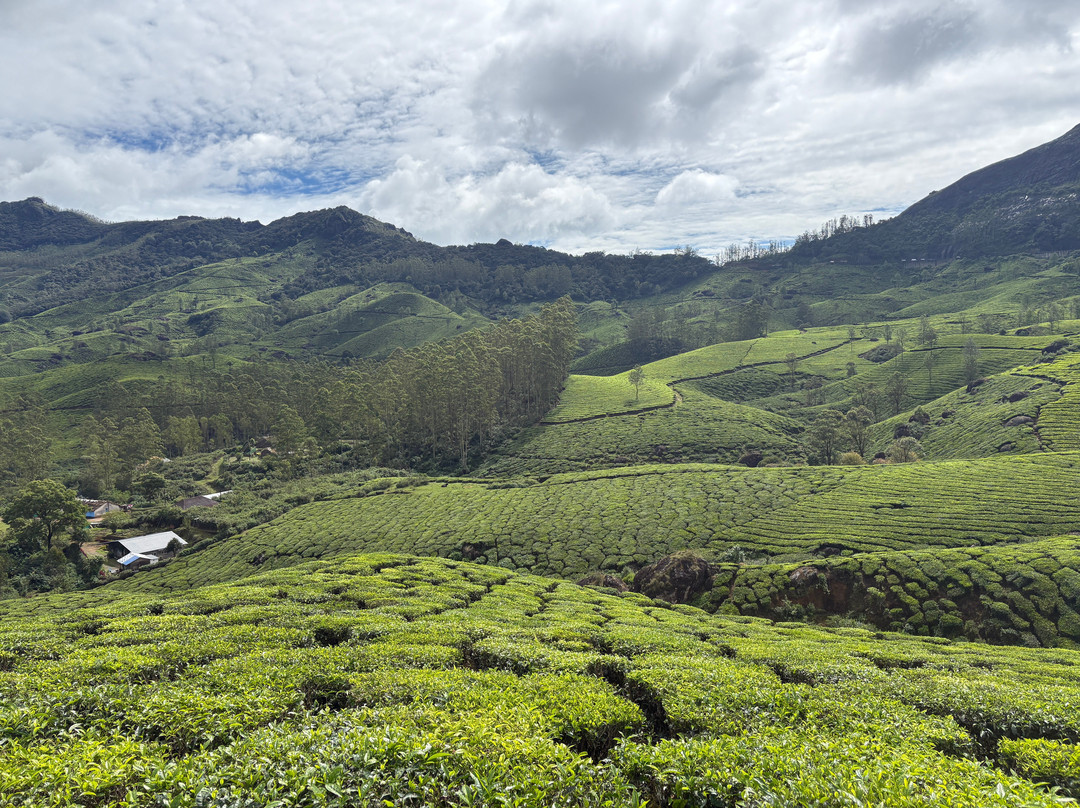 BOUT INDIA TOURS-斋蒲尔必去景点