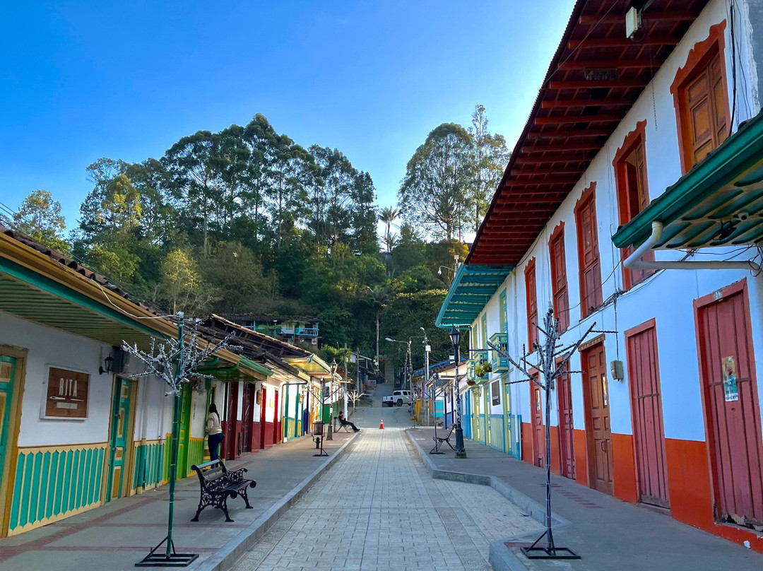 Cocora Trek Salento-萨伦托必去景点