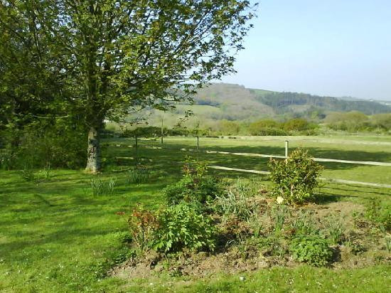 Treberthan B & B主图