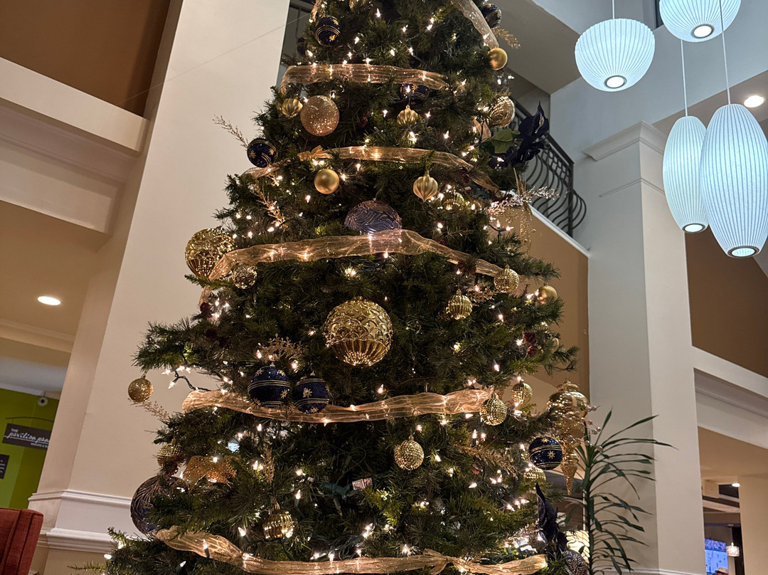 阿尔巴尼希尔顿花园酒店主图