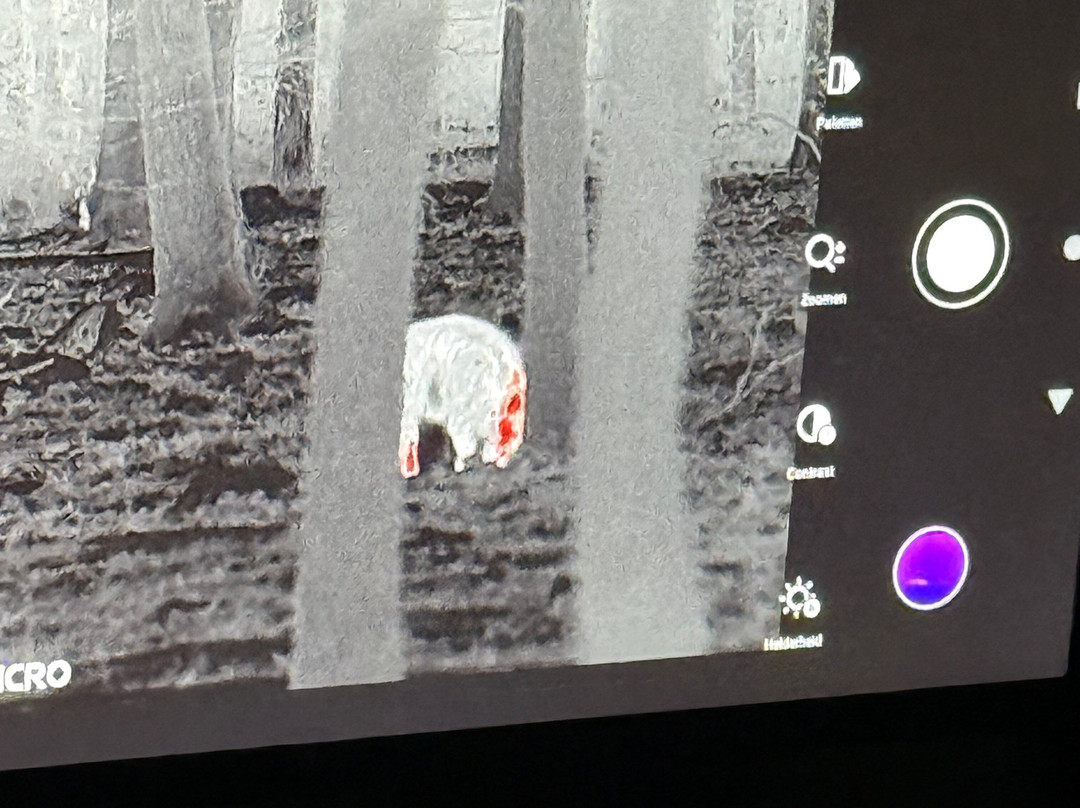 Wildpraat Veluwe-Beekbergen必去景点