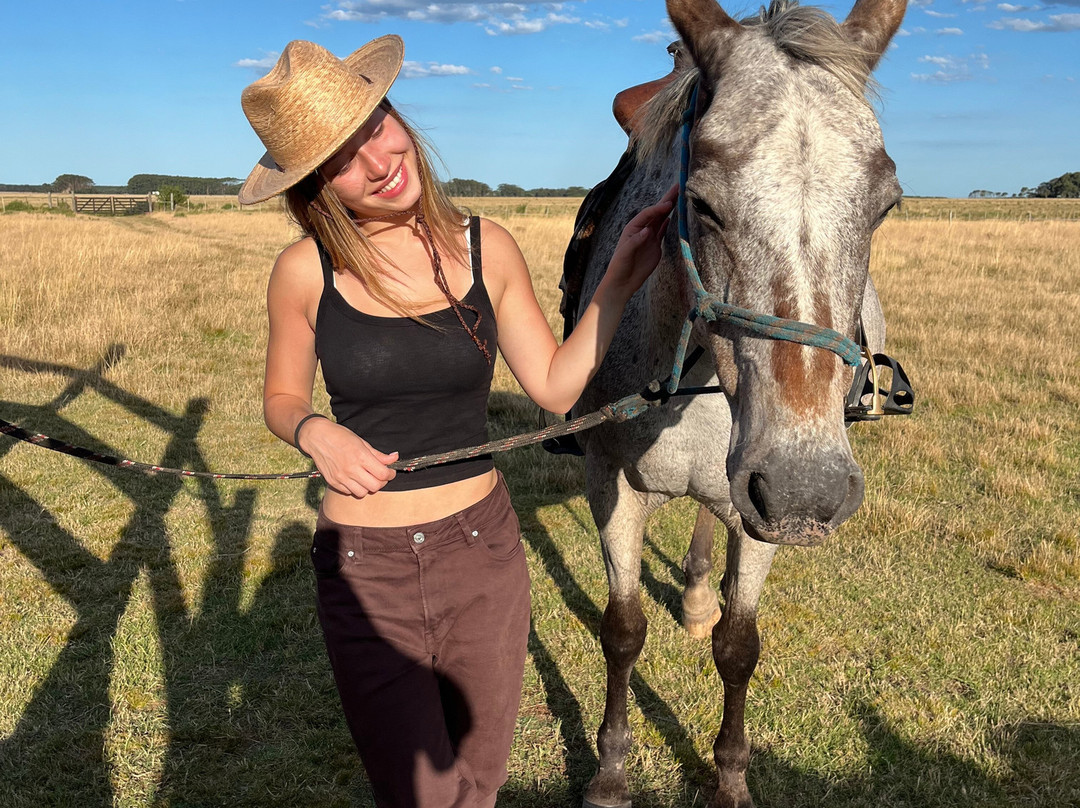 Eco Equus Cabalgatas-La Pedrera必去景点