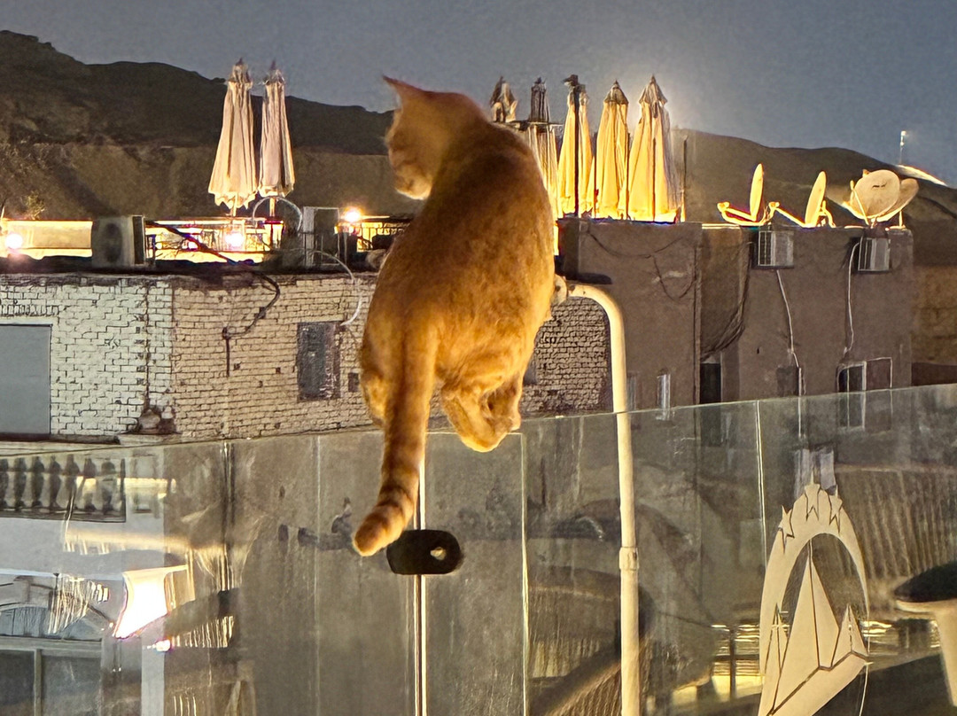 Pyramids Height Hotel