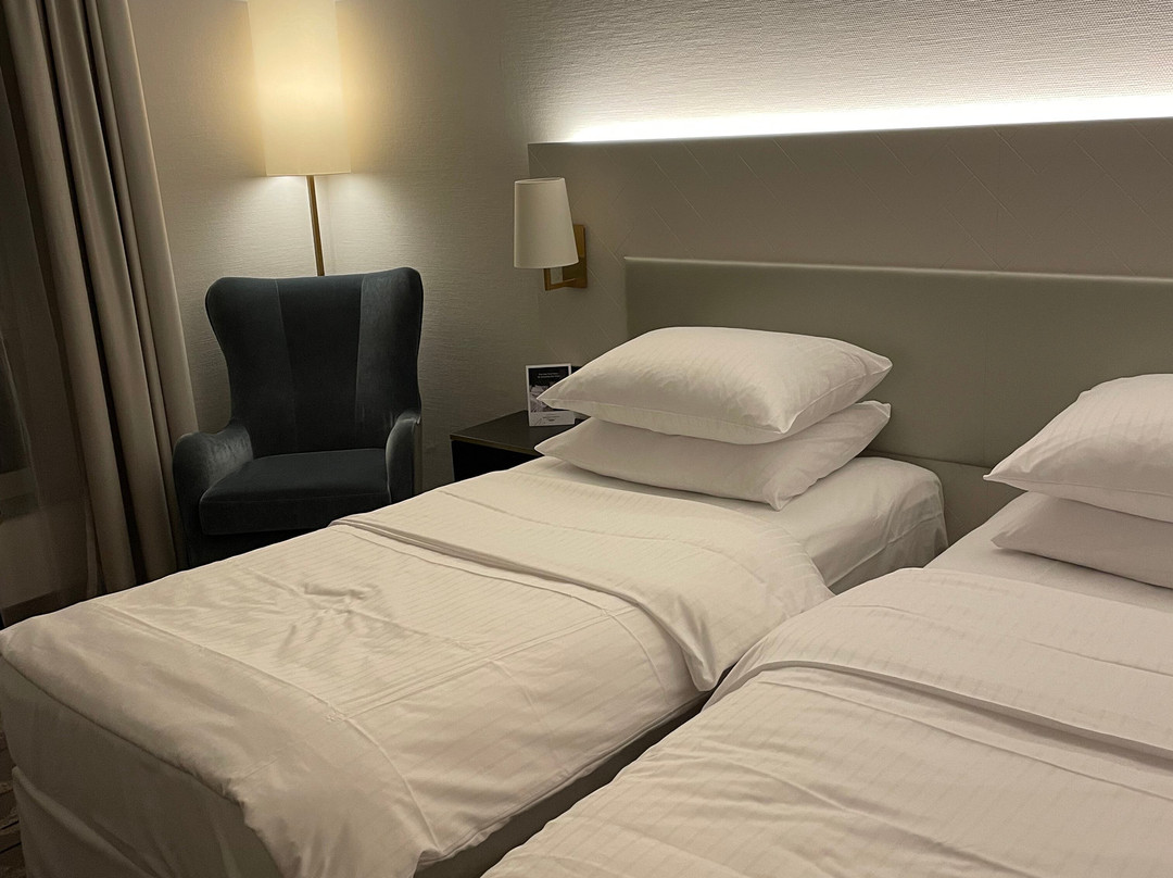 奥芬巴赫喜来登酒店主图