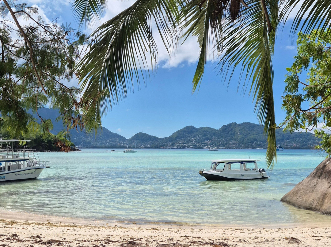 Mason's Travel-维多利亚必去景点