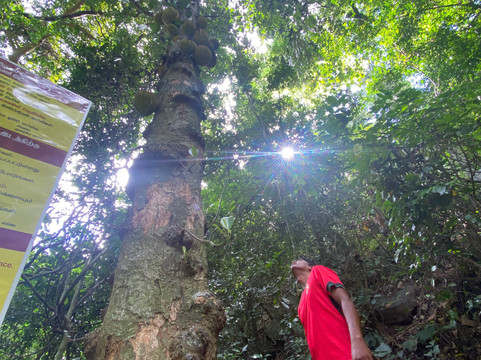 Balanna Travel Co-卡图纳耶克必去景点