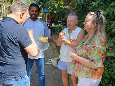 Lanka Lux Tours-Meegoda必去景点