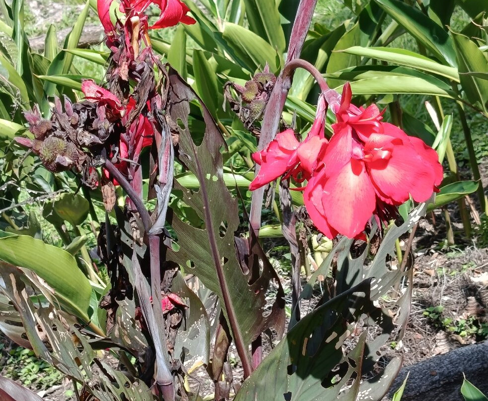 Hosteria Izhcayluma Spa-Vilcabamba必去景点