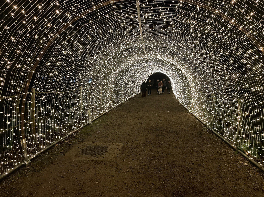 Robin Hoods Wheelgate Park-Farnsfield必去景点