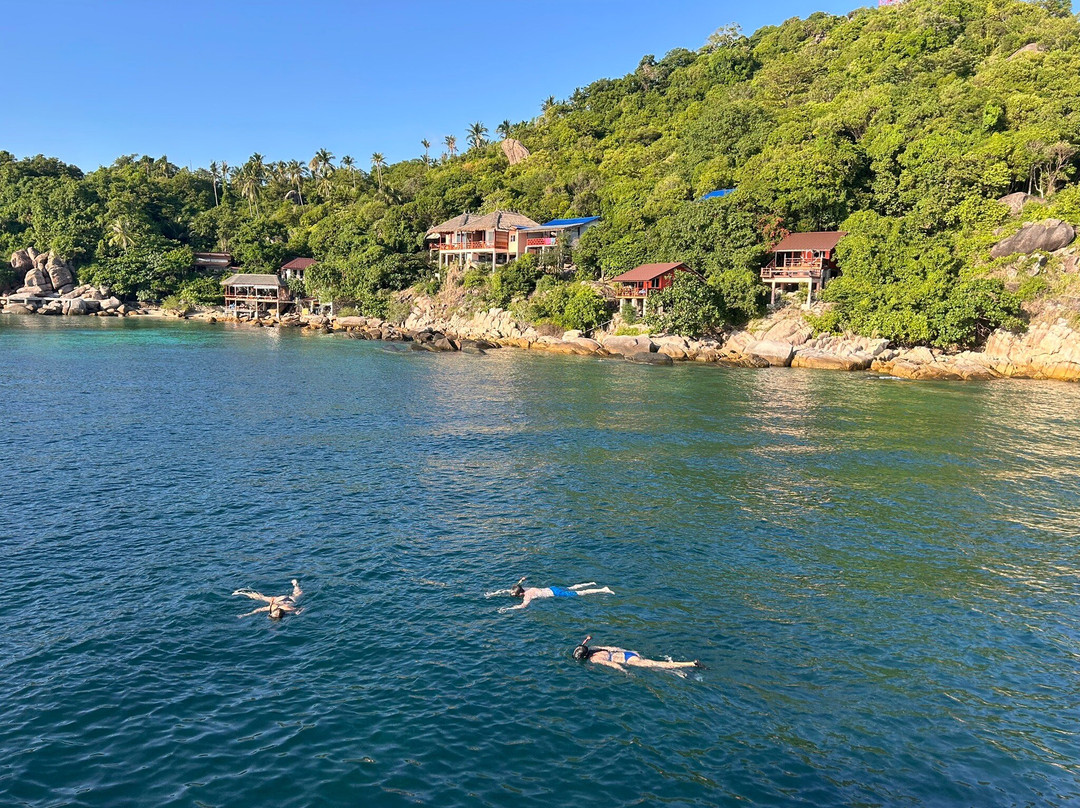 Diamond Tour - Day Tours-涛岛必去景点