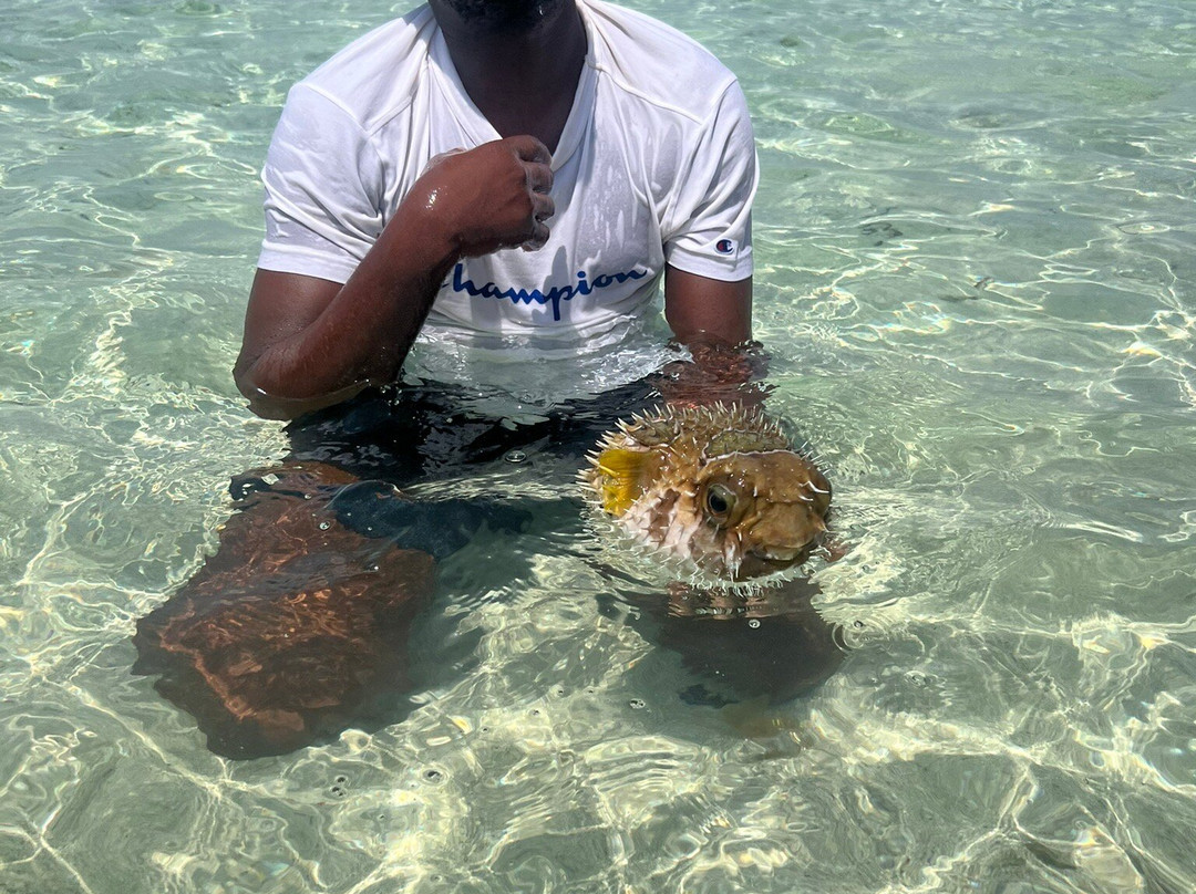 Discovery Kenya con Fragola-瓦塔木必去景点