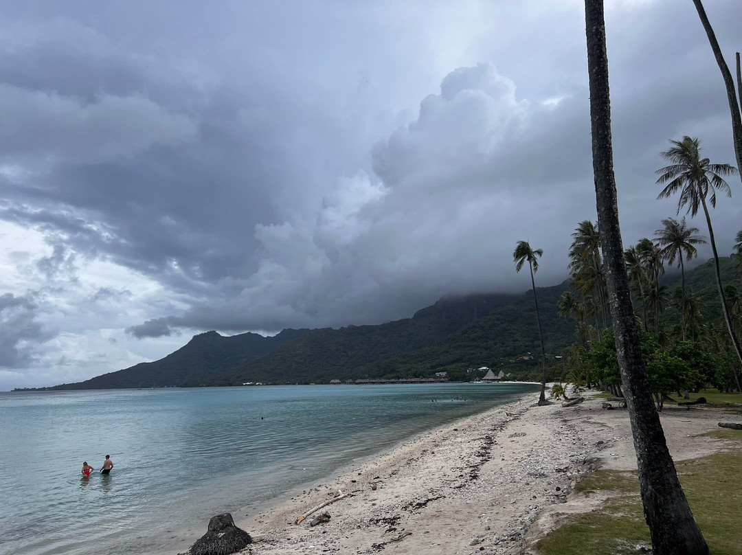 Plage Publique de Temae-莫雷阿岛必去景点