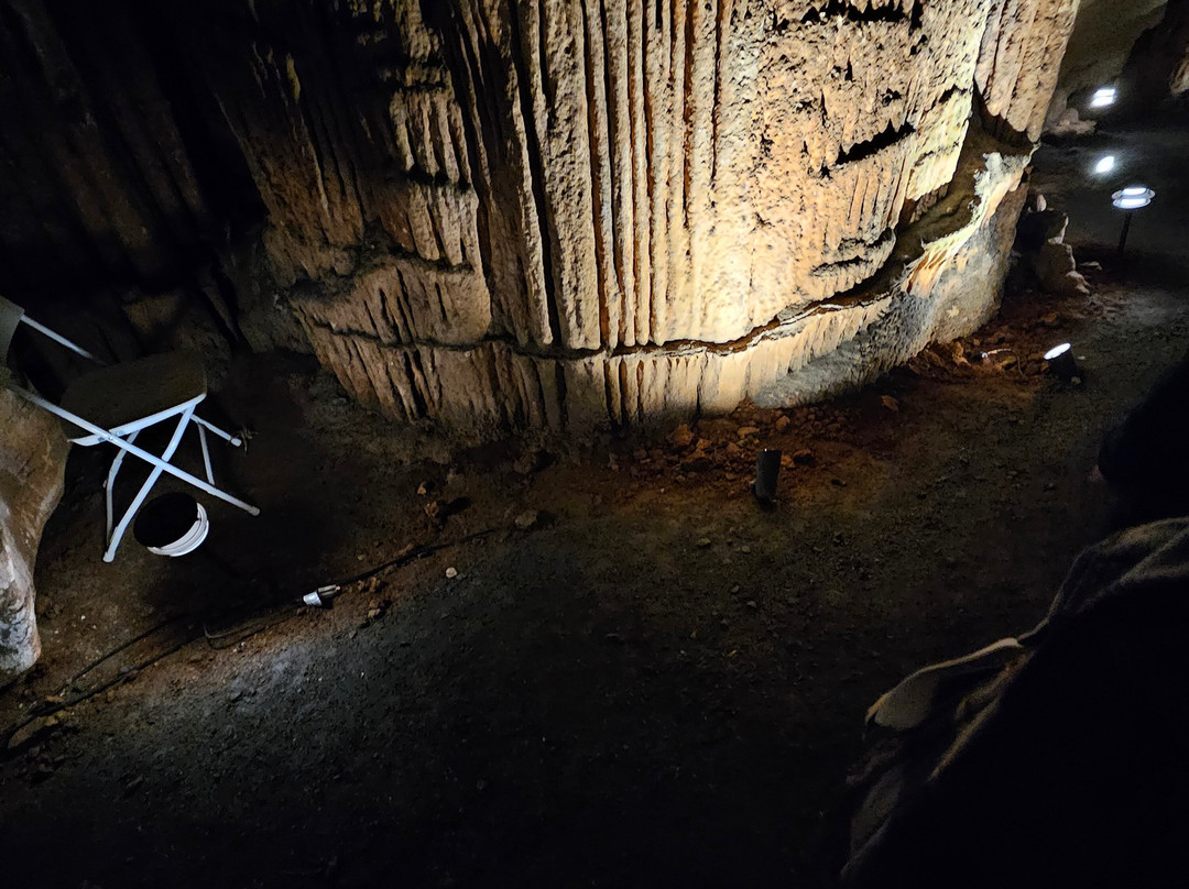 Melrose Caverns-哈里森堡必去景点