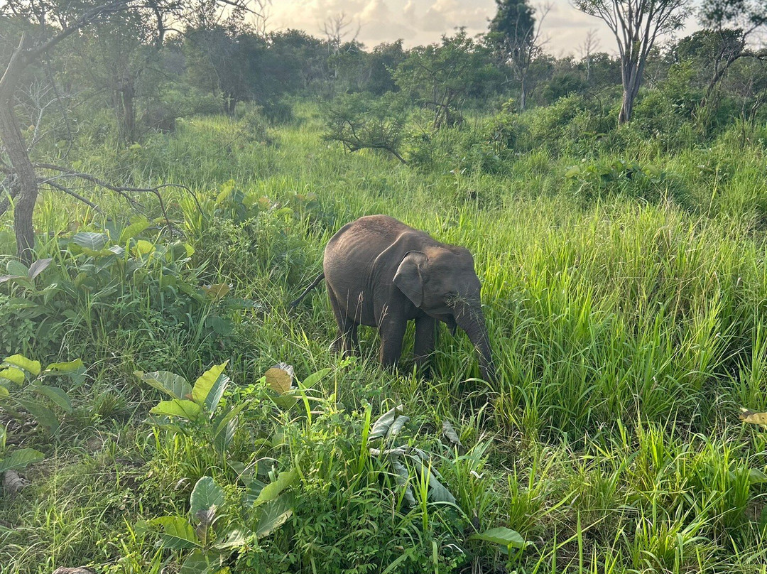 PS Tours Pasikuda-卡尔库达必去景点