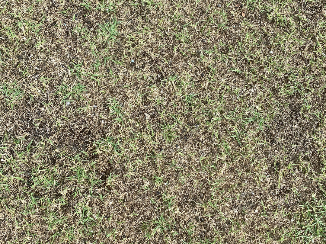 River Hall Country Club-Alva必去景点