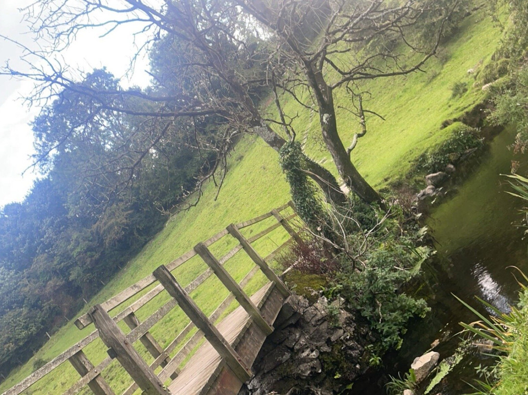 The Dingle (Nant y Pandy) Nature Reserve-Llangefni必去景点