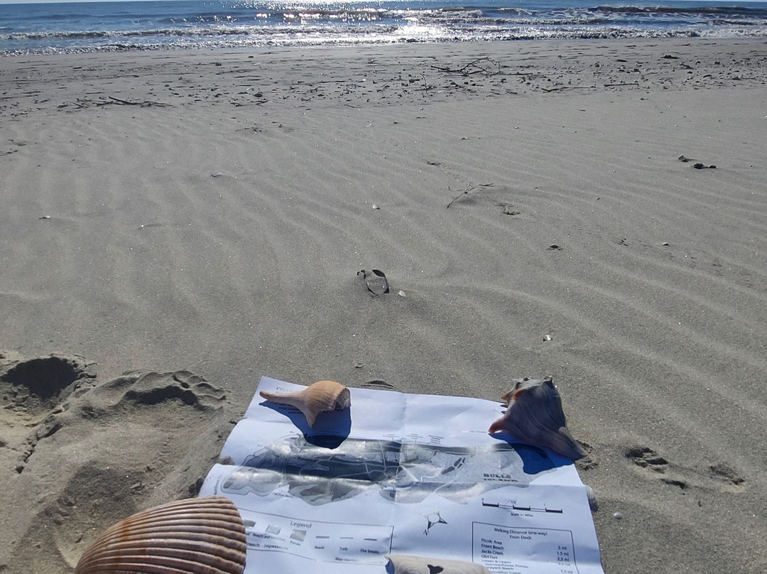 Bulls Island Ferry-Awendaw必去景点