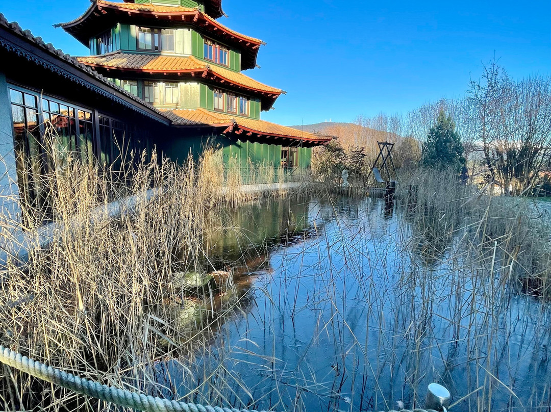 Spirit & Spa Birkenhof Am Elfenhain主图