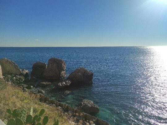 Passeggiata dei Cetacei-菲纳莱利古雷必去景点