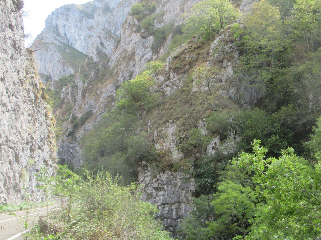 Desfiladero de Los Beyos-Amieva必去景点