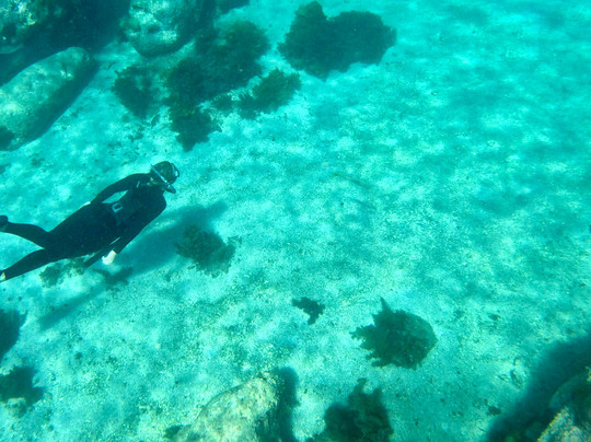 Woebegone Freedive-赫斯基森必去景点