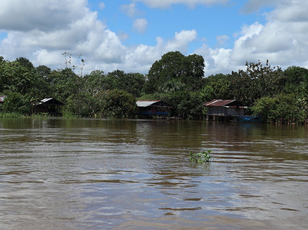 Area de Conservacion Regional Comunal Tamshiyacu Tahuayo-伊基托斯必去景点