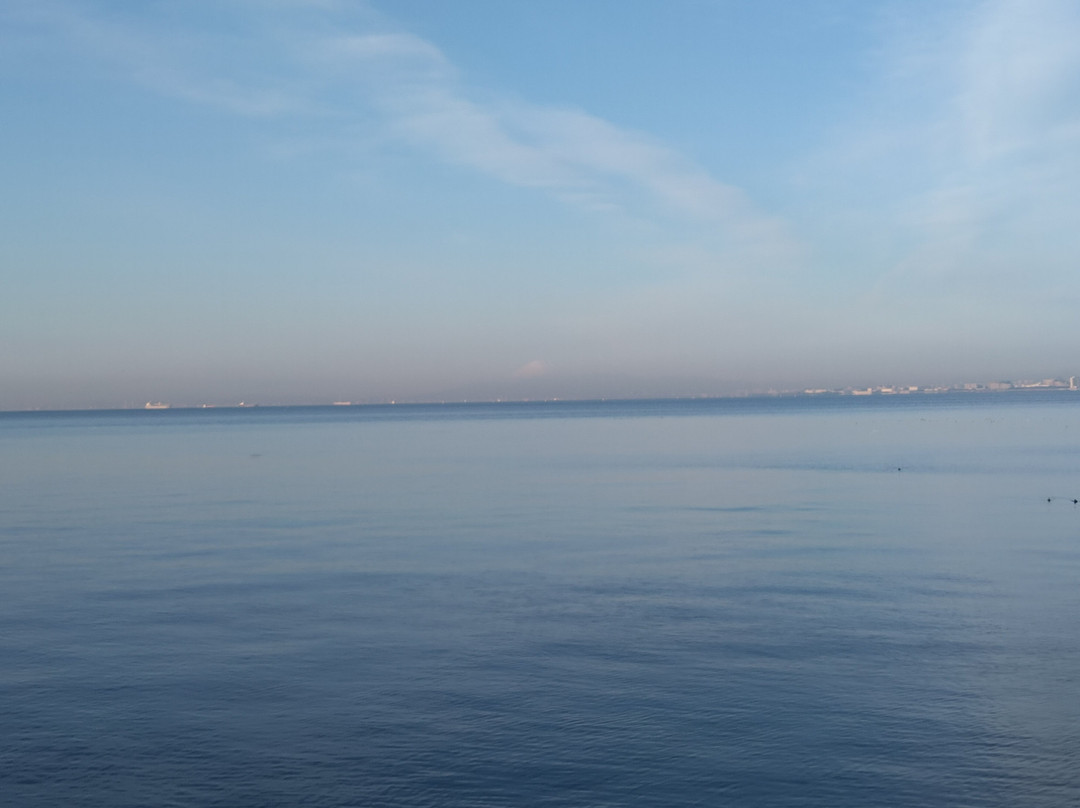 Inage Ocean Park-千叶市必去景点