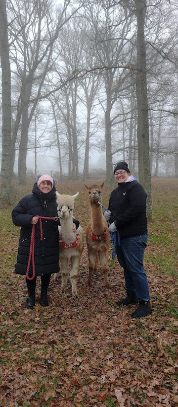 Petlake Alpacas of the New Forest-Totton必去景点