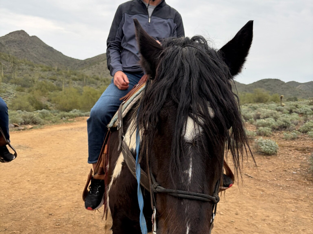 Cave Creek Trail Rides-洞溪必去景点