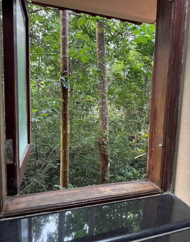 Vythiri Mist Resort主图