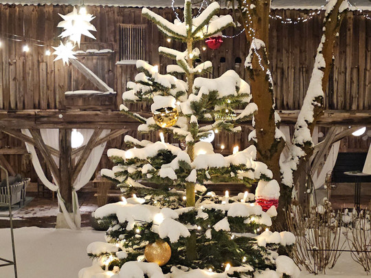 Pension Heindlhof主图