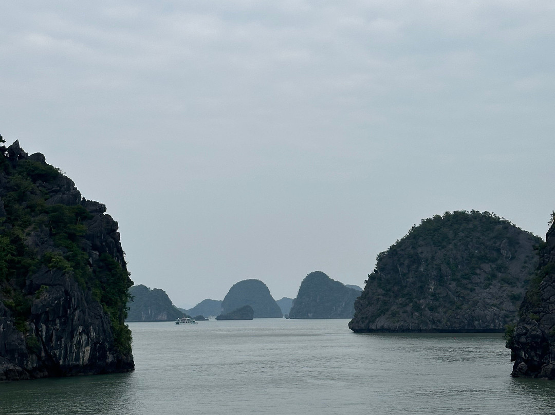 Elite of the Seas-下龙湾必去景点