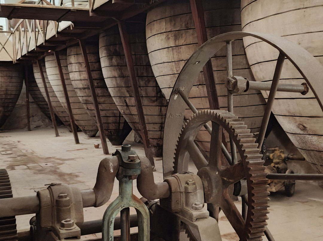 Bodegas San Ricardo-Valdepenas必去景点