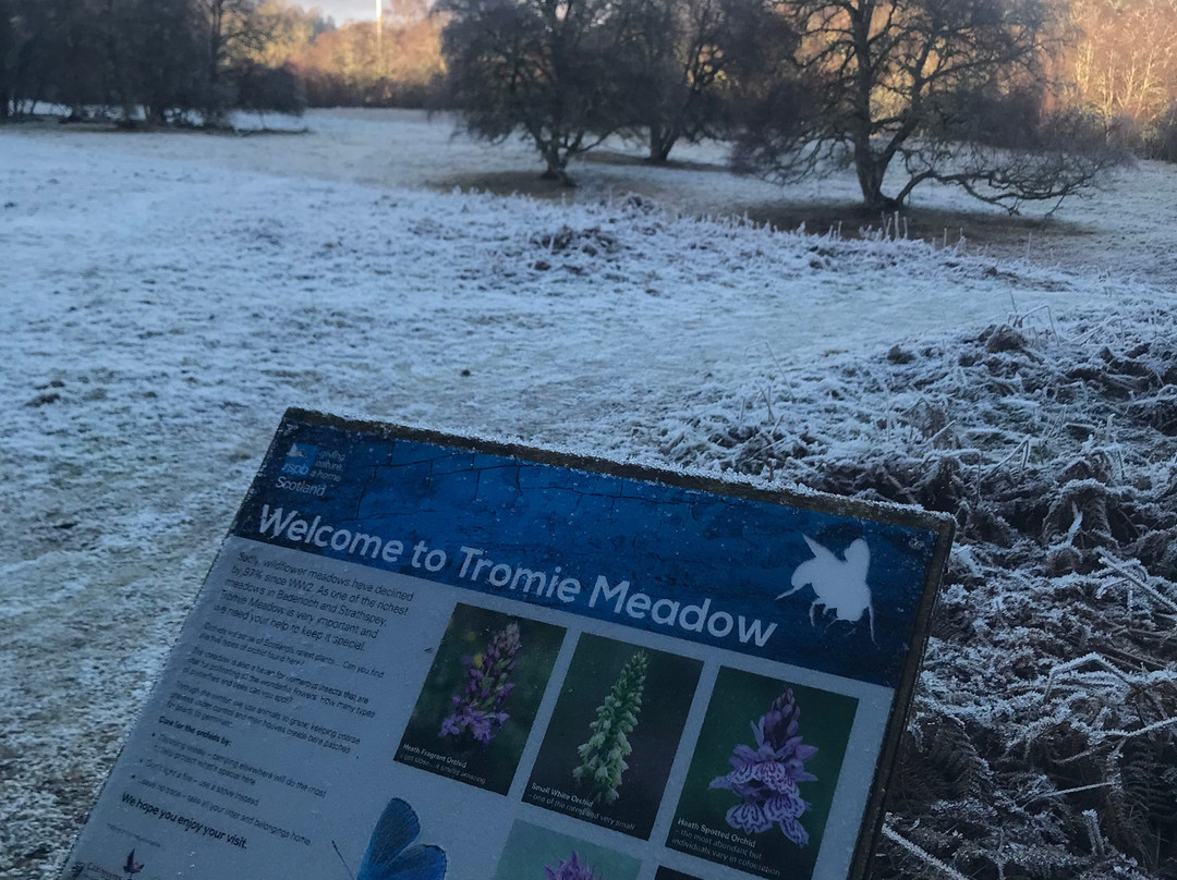 RSPB - Insh Marshes-Kingussie必去景点
