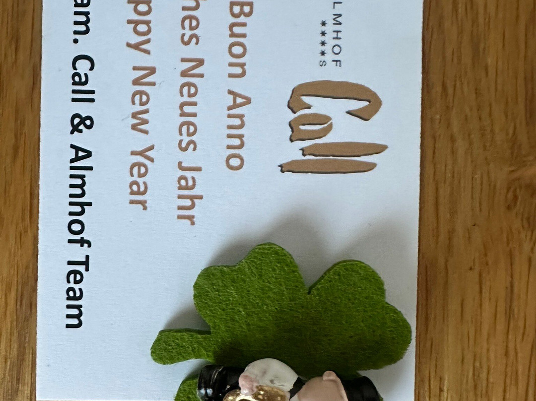 Hotel Almhof Call主图