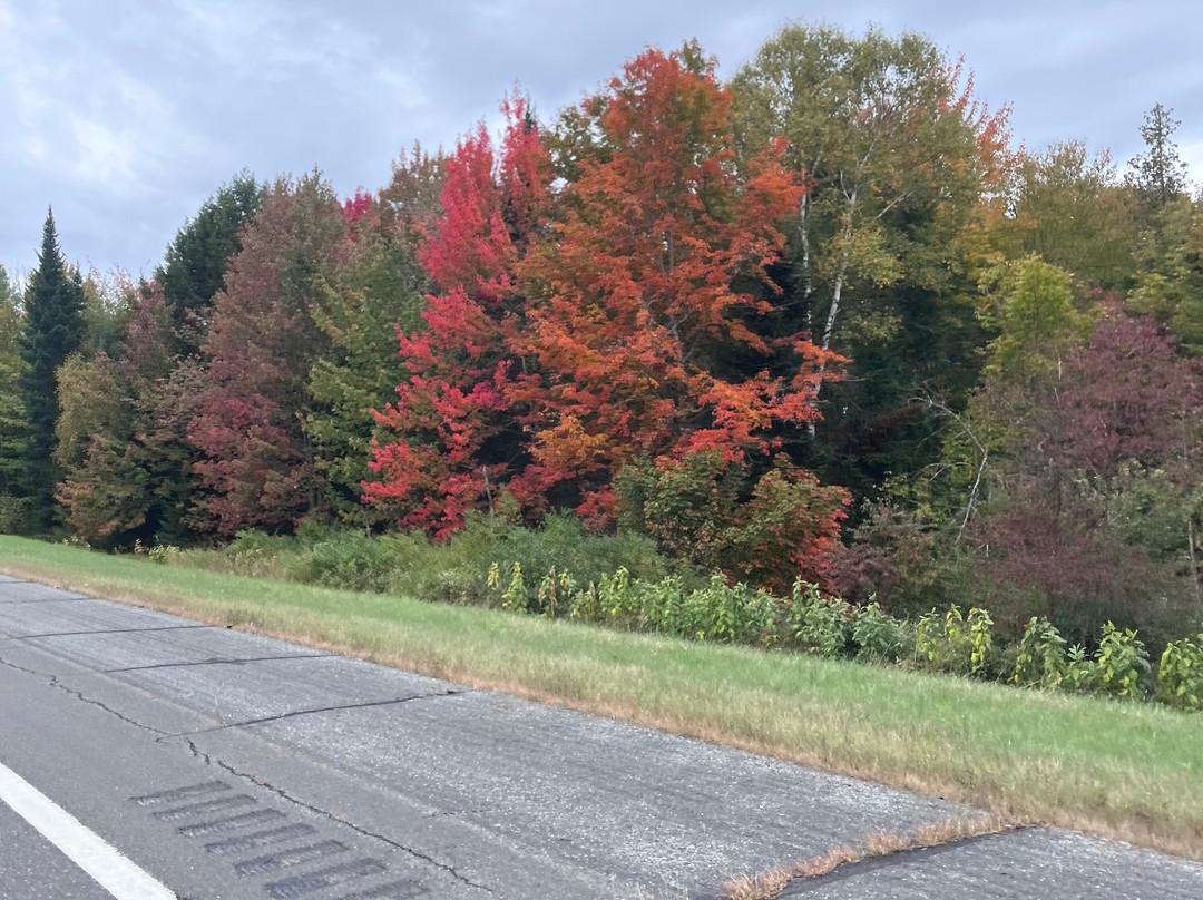 Acadia National Park-巴港必去景点