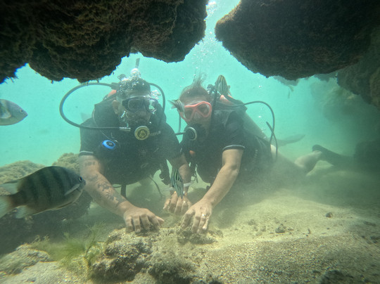 Recife Dive Mergulho-嘎林海斯港必去景点
