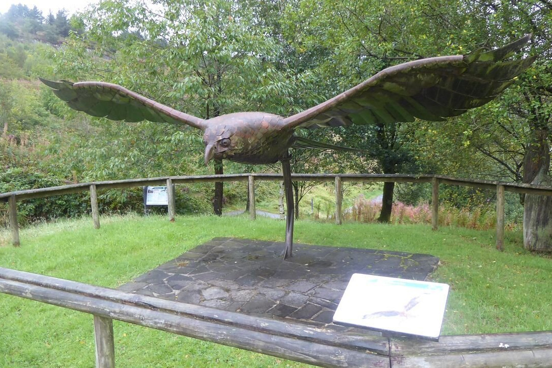 Bwlch Nant yr Arian Forest Visitor Centre-阿伯里斯特威斯必去景点
