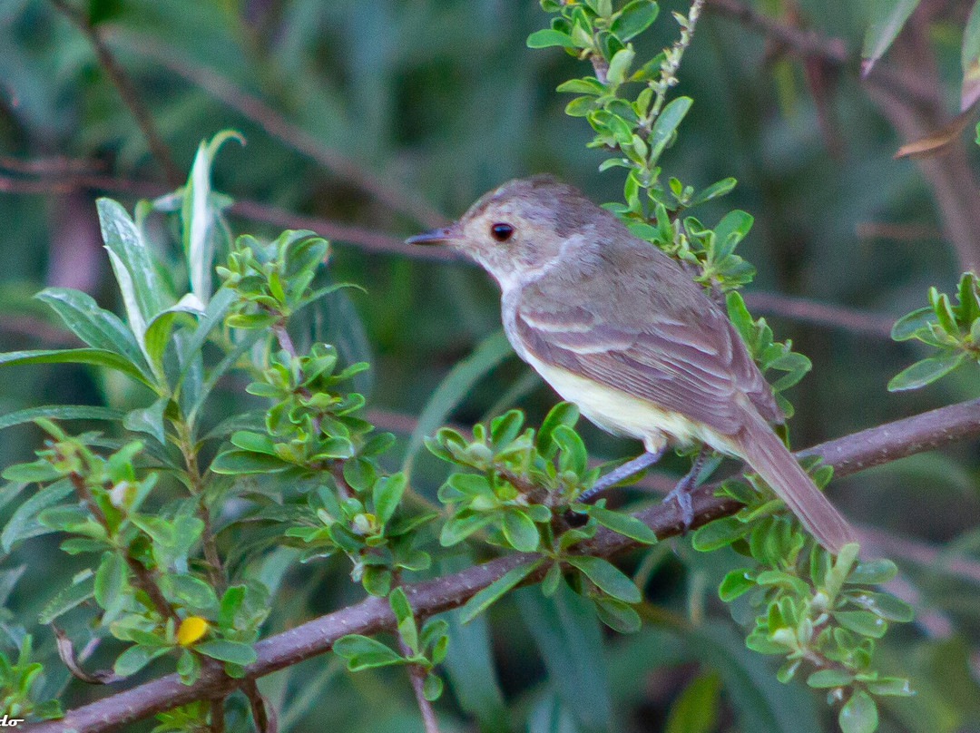 Complejo Costa Alta主图